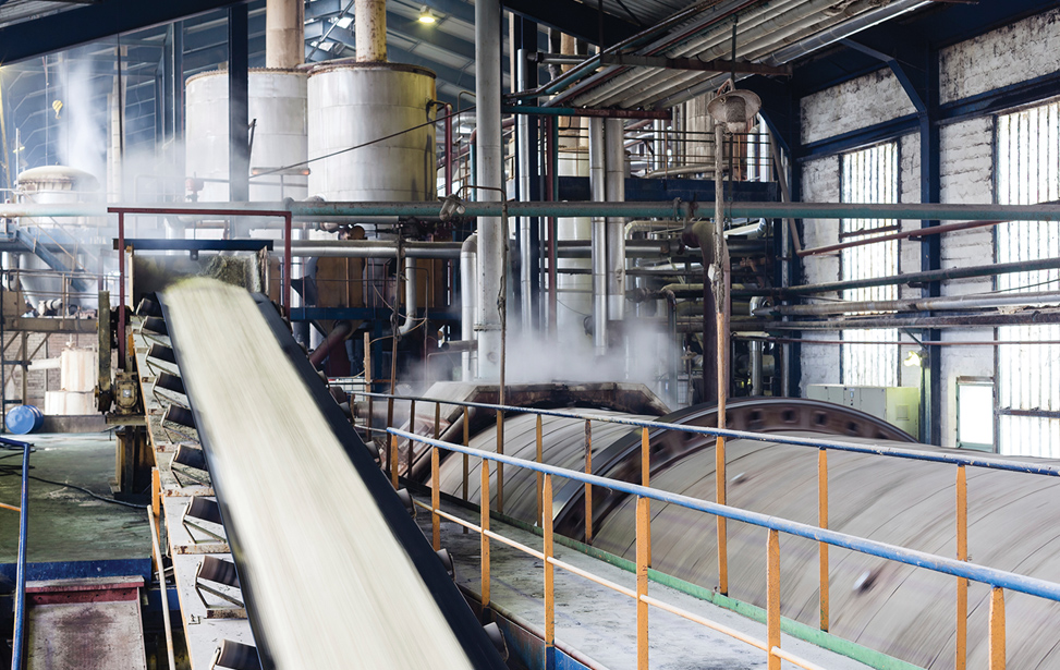 Sugar Processing Conveyor